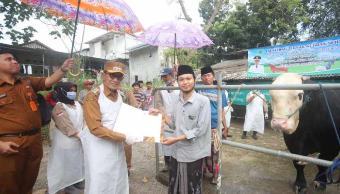 Launcing Ternak Kurban Sehat, Bupati Kholilurrahman Inginkan Pamekasan Jadi Lumbung Nasional